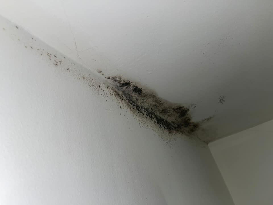 Condensation on interior wall